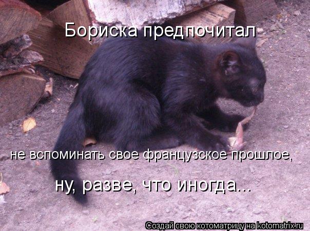 Бориска предпочитал не вспоминать свое французское прошлое, ну, разве, что иногда...... Котоматрица: Бориска предпочитал не вспоминать свое французское прошлое, ну, разве, что иногда...