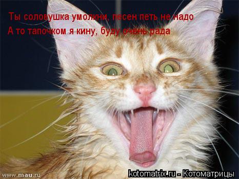 Ты соловушка умолкни, песен петь не надо А то тапочком я кину, буду очень рада... Котоматрица: Ты соловушка умолкни, песен петь не надо А то тапочком я кину, буду очень рада