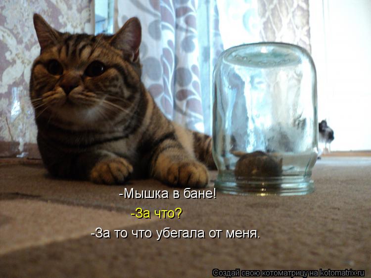 -Мышка в бане! -За что? -За то что убегала от меня.... Котоматрица: -Мышка в бане! -За что? -За то что убегала от меня.