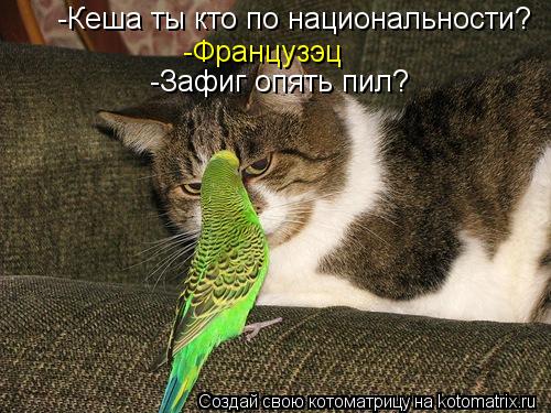 -Кеша ты кто по национальности? -Французэц -Зафиг опять пил?... Котоматрица: -Кеша ты кто по национальности? -Французэц -Зафиг опять пил?