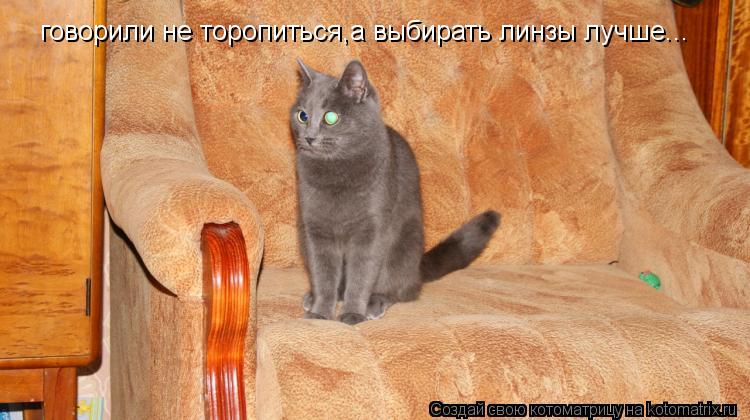 говорили не торопиться,а выбирать линзы лучше...... Котоматрица: говорили не торопиться,а выбирать линзы лучше...