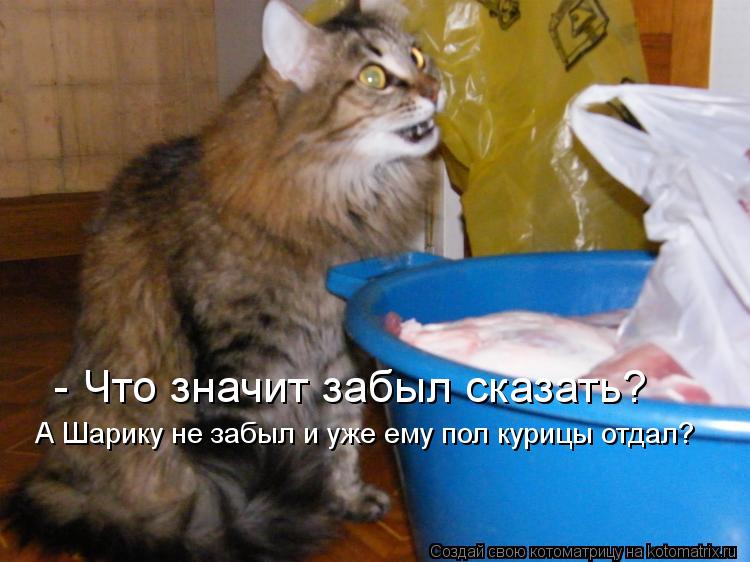 - Что значит забыл сказать? А Шарику не забыл и уже ему пол курицы отдал?... Котоматрица: - Что значит забыл сказать? А Шарику не забыл и уже ему пол курицы отдал?