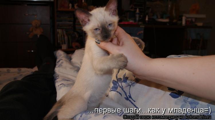 ...первые шаги...как у младенца=)... Котоматрица: ...первые шаги...как у младенца=)