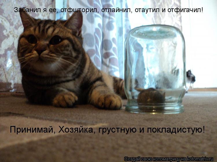 Забанил я ее, отфшторил, отлайнил, отаутил и отфигачил! Принимай, Хозяйка, грустную и покладистую!... Котоматрица: Забанил я ее, отфшторил, отлайнил, отаутил и отфигачил! Принимай, Хозяйка, грустную и покладистую!