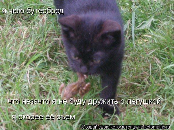 я чюю бутерброд я чюю бутерброд что незачто я не буду дружить с легушкой что незачто я не буду друж... Котоматрица: я чюю бутерброд я чюю бутерброд что незачто я не буду дружить с легушкой что незачто я не буду дружить с легушкой я скорее её съем