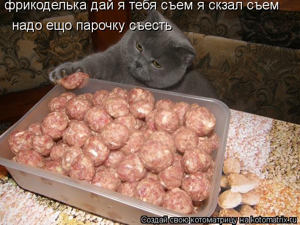 фрикоделька дай я тебя съем я скзал съем надо ещо парочку съесть надо ещо парочку съесть... Котоматрица: фрикоделька дай я тебя съем я скзал съем надо ещо парочку съесть надо ещо парочку съесть