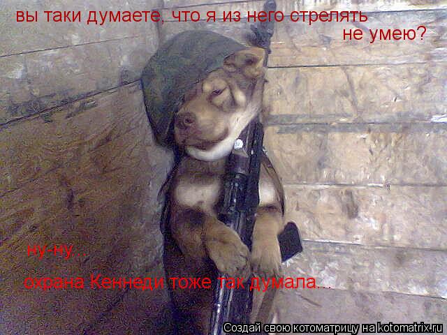 вы таки думаете, что я из него стрелять не умею? ну-ну... охрана Кеннеди тоже так думала...... Котоматрица: вы таки думаете, что я из него стрелять не умею? ну-ну... охрана Кеннеди тоже так думала...