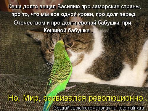 Кеша долго вещал Василию про заморские страны, про то, что мы все одной крови, про долг перед Отечест... Котоматрица: Кеша долго вещал Василию про заморские страны, про то, что мы все одной крови, про долг перед Отечеством и про долги евонай бабушки, при Кеши