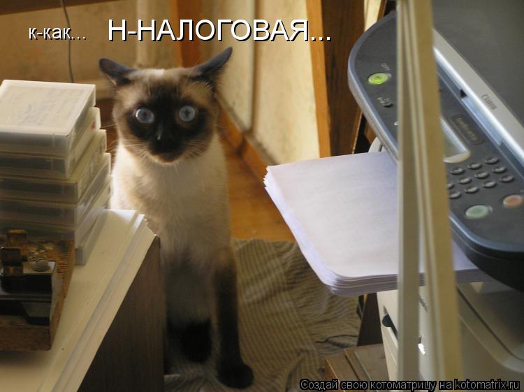 к-как... Н-НАЛОГОВАЯ...... Котоматрица: к-как... Н-НАЛОГОВАЯ...