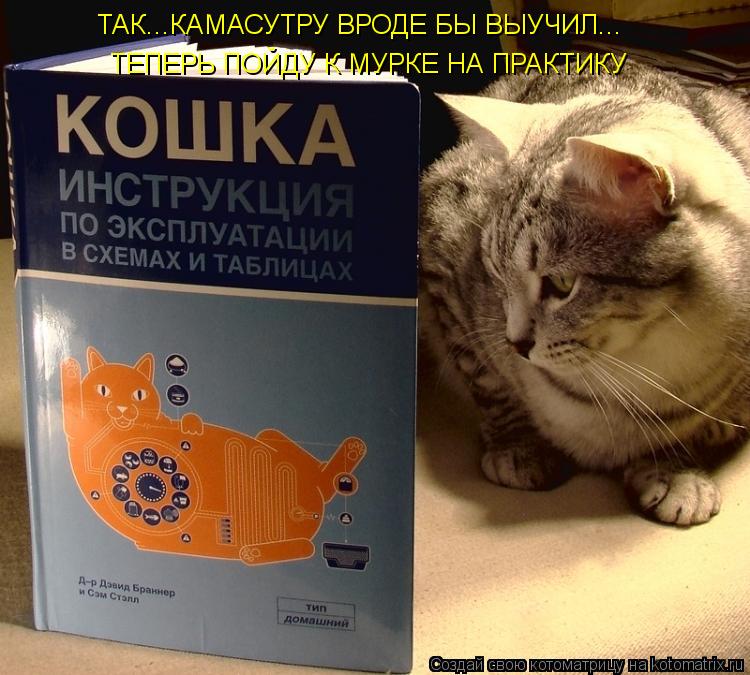 ТАК...КАМАСУТРУ ВРОДЕ БЫ ВЫУЧИЛ... ТЕПЕРЬ ПОЙДУ К МУРКЕ НА ПРАКТИКУ... Котоматрица: ТАК...КАМАСУТРУ ВРОДЕ БЫ ВЫУЧИЛ... ТЕПЕРЬ ПОЙДУ К МУРКЕ НА ПРАКТИКУ