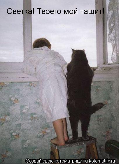 Светка! Твоего мой тащит!... Котоматрица: Светка! Твоего мой тащит!