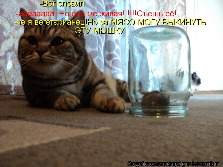 -Вот словил -аааааааа !Но она же живая!!!!!!Съешь её! -не я вегетарианец!Но за МЯСО МОГУ ВЫКИНУТЬ ЭТУ... Котоматрица: -Вот словил -аааааааа !Но она же живая!!!!!!Съешь её! -не я вегетарианец!Но за МЯСО МОГУ ВЫКИНУТЬ ЭТУ МЫШКУ