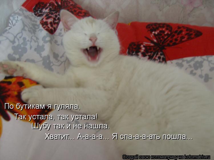 По бутикам я гуляла, Так устала, так устала! Шубу так и не нашла. Хватит... А-а-а-а... Я спа-а-а-ать ... Котоматрица: По бутикам я гуляла, Так устала, так устала! Шубу так и не нашла. Хватит... А-а-а-а... Я спа-а-а-ать пошла...