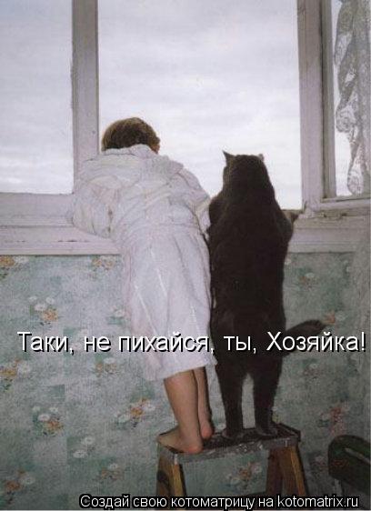 Таки, не пихайся, ты, Хозяйка!... Котоматрица: Таки, не пихайся, ты, Хозяйка!