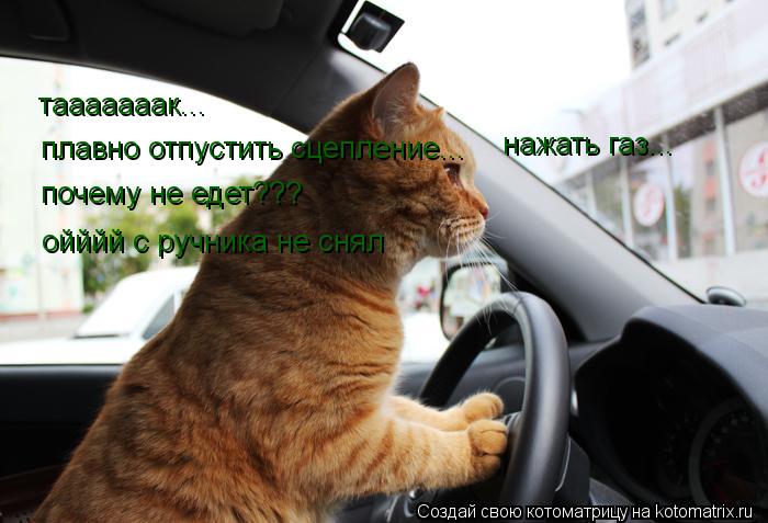 тааааааак... плавно отпустить сцепление... нажать газ... почему не едет??? ойййй с ручника не снял... Котоматрица: тааааааак... плавно отпустить сцепление... нажать газ... почему не едет??? ойййй с ручника не снял