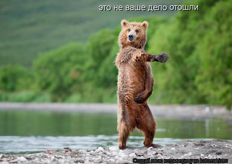 это не ваше дело отошли... Котоматрица: это не ваше дело отошли