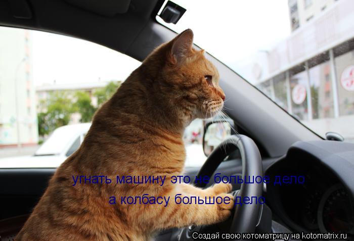 угнать машину это не большое дело а колбасу большое дело... Котоматрица: угнать машину это не большое дело а колбасу большое дело