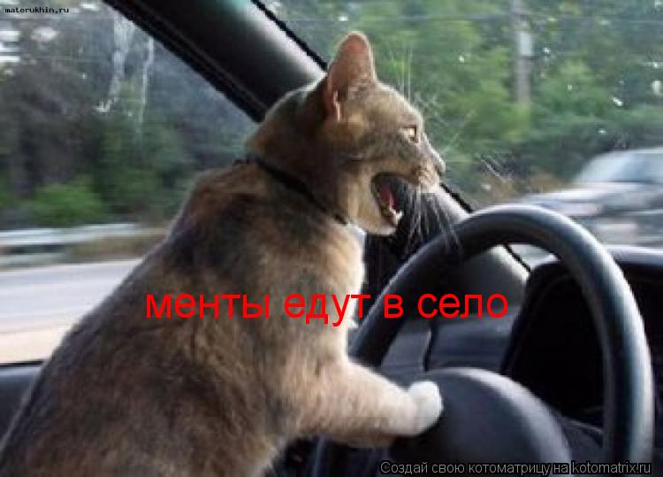 менты едут в село... Котоматрица: менты едут в село