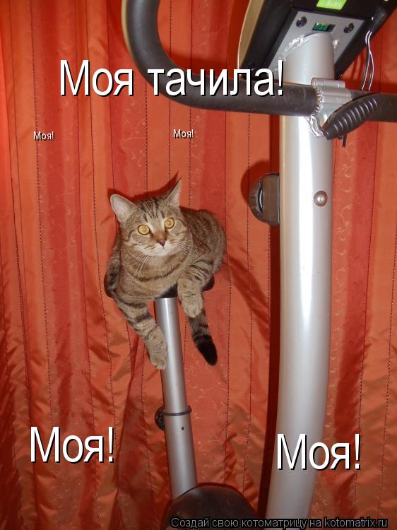 Моя тачила! Моя! Моя! Моя! Моя!... Котоматрица: Моя тачила! Моя! Моя! Моя! Моя!