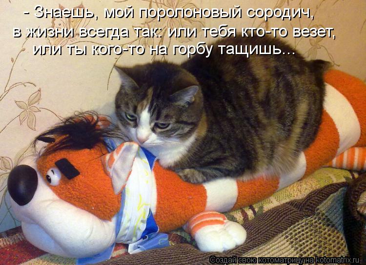 - Знаешь, мой поролоновый сородич, в жизни всегда так: или тебя кто-то везет, или ты кого-то на горбу... Котоматрица: - Знаешь, мой поролоновый сородич, в жизни всегда так: или тебя кто-то везет, или ты кого-то на горбу тащишь...