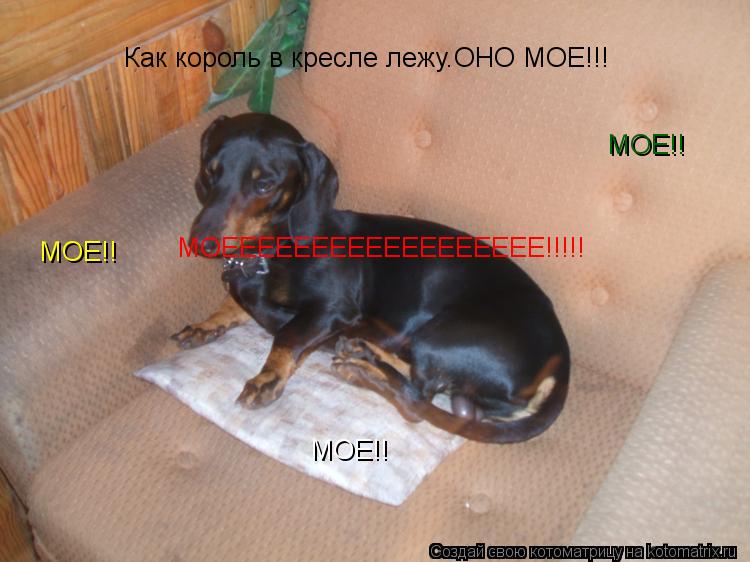 Как король в кресле лежу.ОНО МОЕ!!! МОЕ!! МОЕ!! МОЕ!! МОЕЕЕЕЕЕЕЕЕЕЕЕЕЕЕЕЕЕ!!!!!... Котоматрица: Как король в кресле лежу.ОНО МОЕ!!! МОЕ!! МОЕ!! МОЕ!! МОЕЕЕЕЕЕЕЕЕЕЕЕЕЕЕЕЕЕ!!!!!