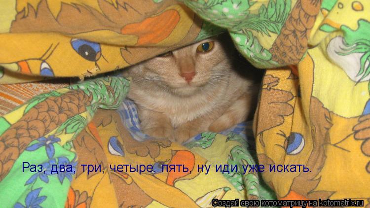 Раз, два, три, четыре, пять, ну иди уже искать.... Котоматрица: Раз, два, три, четыре, пять, ну иди уже искать.