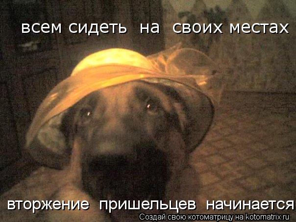 всем сидеть на своих местах вторжение пришельцев начинается ! вторжение пришельцев начинается... Котоматрица: всем сидеть на своих местах вторжение пришельцев начинается ! вторжение пришельцев начинается