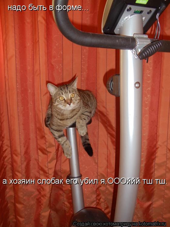 надо быть в форме... а хозяин слобак его убил я.ОООййй тш тш.... Котоматрица: надо быть в форме... а хозяин слобак его убил я.ОООййй тш тш.