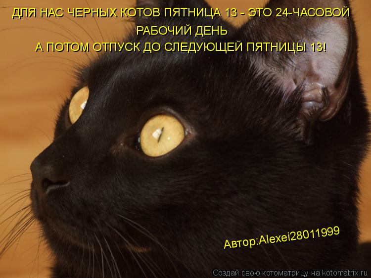 ДЛЯ НАС ЧЕРНЫХ КОТОВ ПЯТНИЦА 13 - ЭТО 24-ЧАСОВОЙ РАБОЧИЙ ДЕНЬ А ПОТОМ ОТПУСК ДО СЛЕДУЮЩЕЙ ПЯТНИЦЫ 13!... Котоматрица: ДЛЯ НАС ЧЕРНЫХ КОТОВ ПЯТНИЦА 13 - ЭТО 24-ЧАСОВОЙ РАБОЧИЙ ДЕНЬ А ПОТОМ ОТПУСК ДО СЛЕДУЮЩЕЙ ПЯТНИЦЫ 13! Автор:Alexei28011999