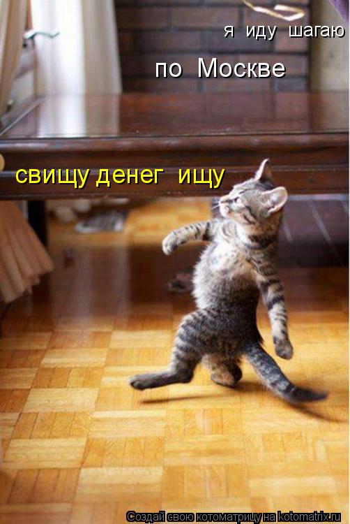 я иду шагаю я иду шагаю по Москве свищу денег ищу... Котоматрица: я иду шагаю я иду шагаю по Москве свищу денег ищу