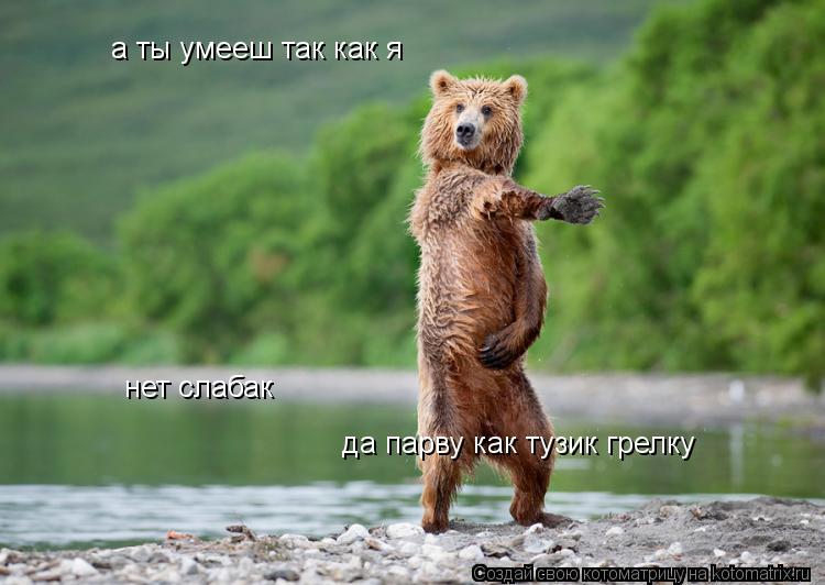 а ты умееш так как я нет слабак да парву как тузик грелку да парву как тузик грелку... Котоматрица: а ты умееш так как я нет слабак да парву как тузик грелку да парву как тузик грелку