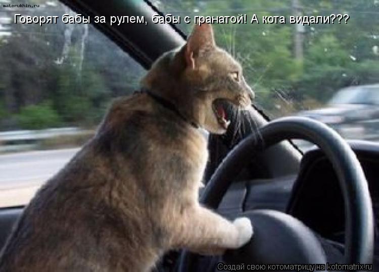 Говорят бабы за рулем, бабы с гранатой! А кота видали???... Котоматрица: Говорят бабы за рулем, бабы с гранатой! А кота видали???