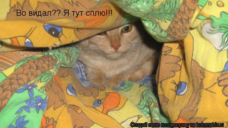 Котоматрица: Во видал?? Я тут сплю!!!