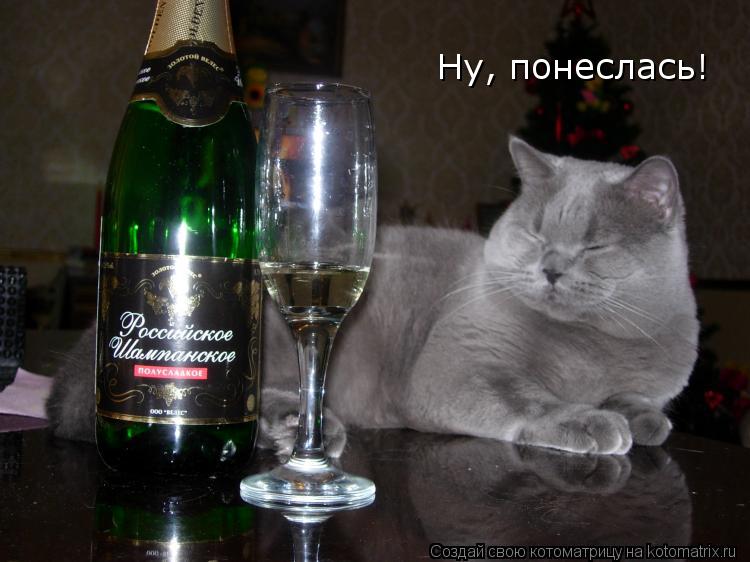 Ну, понеслась!... Котоматрица: Ну, понеслась!