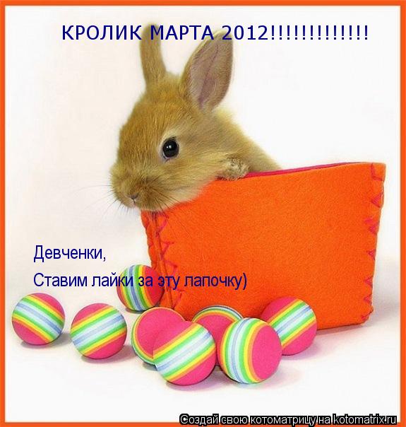 КРОЛИК МАРТА 2012!!!!!!!!!!!!! Девченки, Ставим лайки за эту лапочку)... Котоматрица: КРОЛИК МАРТА 2012!!!!!!!!!!!!! Девченки, Ставим лайки за эту лапочку)