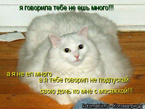 я говорила тебе не ешь много!!! а я не ел много а я тебе говорил не подпускай свою дочь ко мне с маса... Котоматрица: я говорила тебе не ешь много!!! а я не ел много а я тебе говорил не подпускай свою дочь ко мне с масажкой!!! а я тебе говорил не подпускай свою д