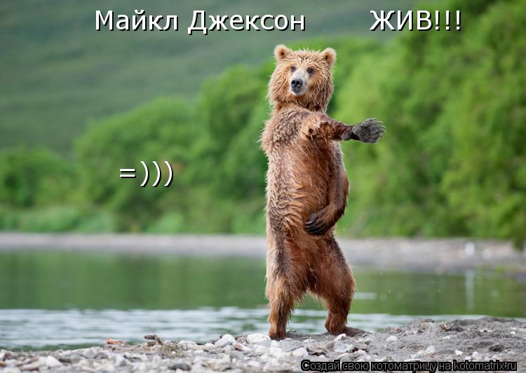 Майкл Джексон ЖИВ!!! =)))... Котоматрица: Майкл Джексон ЖИВ!!! =)))