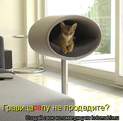 Гравица ра пу не продадите?... Котоматрица: Гравица ра пу не продадите?