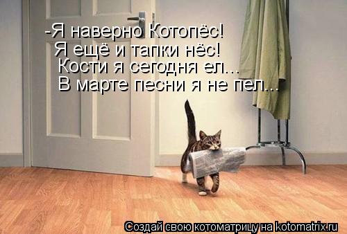 -Я наверно Котопёс! Я ещё и тапки нёс! Кости я сегодня ел... В марте песни я не пел...... Котоматрица: -Я наверно Котопёс! Я ещё и тапки нёс! Кости я сегодня ел... В марте песни я не пел...