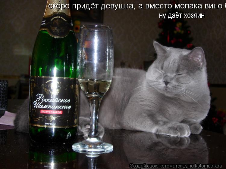 скоро придёт девушка, а вместо молака вино бует ну даёт хозяин ну даёт хозяин... Котоматрица: скоро придёт девушка, а вместо молака вино бует ну даёт хозяин ну даёт хозяин