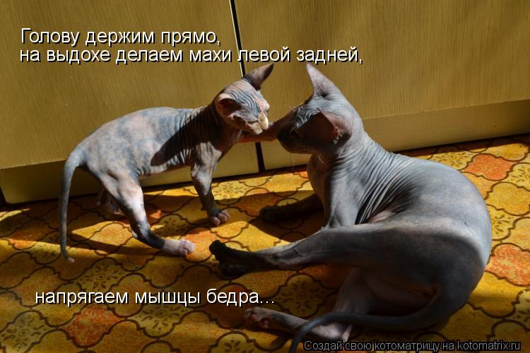 Голову держим прямо, на выдохе делаем махи левой задней, напрягаем мышцы бедра...... Котоматрица: Голову держим прямо, на выдохе делаем махи левой задней, напрягаем мышцы бедра...
