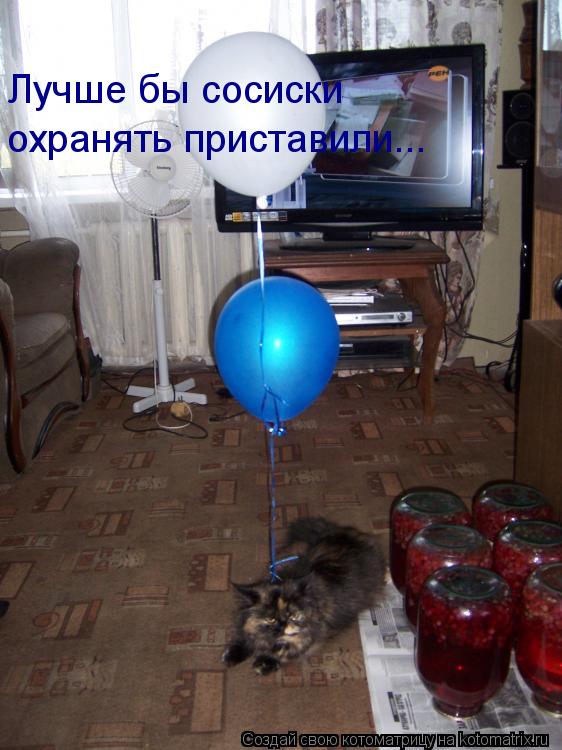 Лучше бы сосиски охранять приставили...... Котоматрица: Лучше бы сосиски охранять приставили...