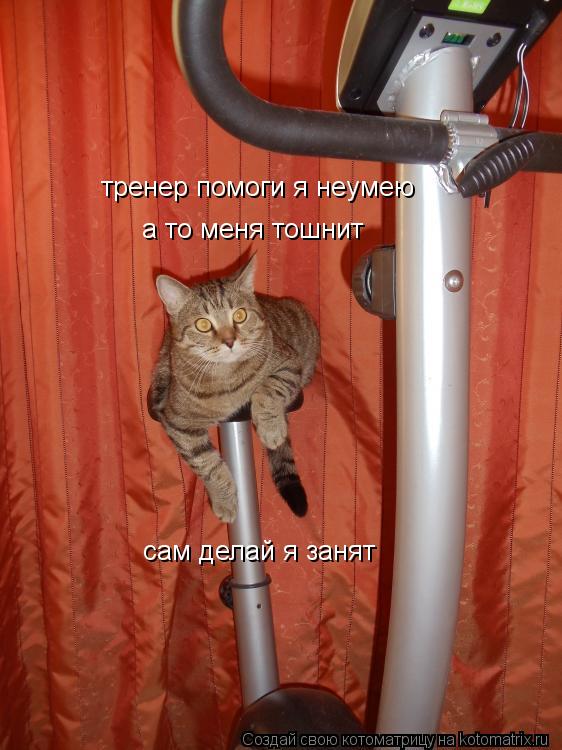 тренер помоги я неумею а то меня тошнит сам делай я занят... Котоматрица: тренер помоги я неумею а то меня тошнит сам делай я занят