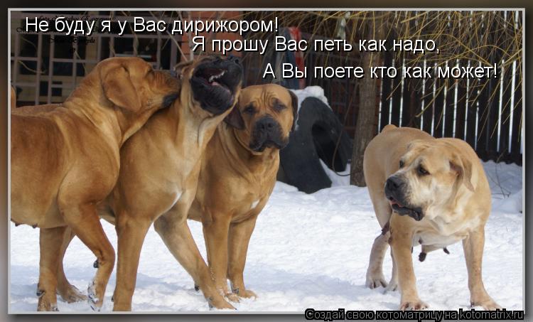 Не буду я у Вас дирижором! Я прошу Вас петь как надо, А Вы поете кто как может!... Котоматрица: Не буду я у Вас дирижором! Я прошу Вас петь как надо, А Вы поете кто как может!