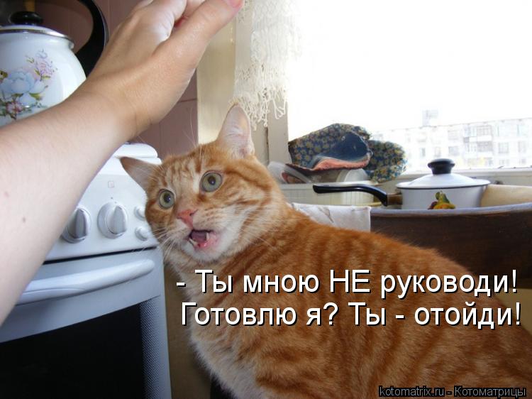 - Ты мною НЕ руководи! Готовлю я? Ты - отойди!... Котоматрица: - Ты мною НЕ руководи! Готовлю я? Ты - отойди!