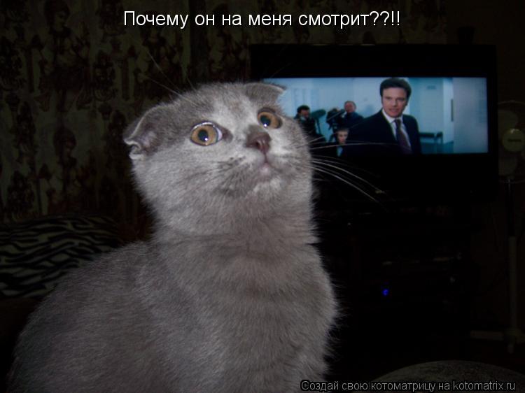 Почему он на меня смотрит??!!... Котоматрица: Почему он на меня смотрит??!!