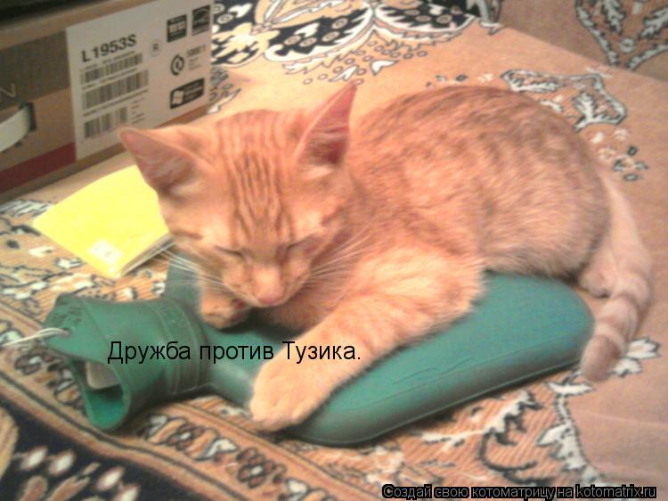 Дружба против Тузика.... Котоматрица: Дружба против Тузика.