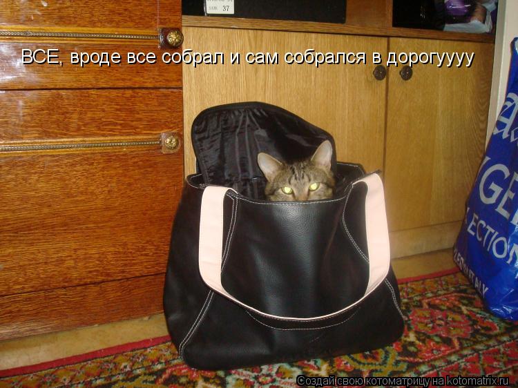 ВСЕ, вроде все собрал и сам собрался в дорогуууу... Котоматрица: ВСЕ, вроде все собрал и сам собрался в дорогуууу