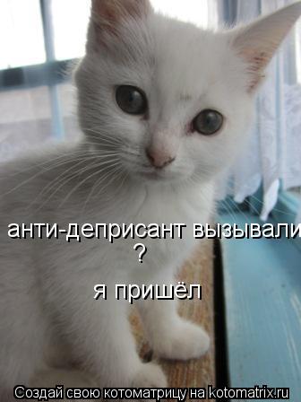 анти-деприсант вызывали я пришёл ?... Котоматрица: анти-деприсант вызывали я пришёл ?
