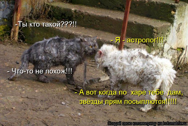 -Ты кто такой???!! - Я - астролог!!! - Что-то не похож!!! звёзды прям посыплются!!!!! - А вот когда ... Котоматрица: -Ты кто такой???!! - Я - астролог!!! - Что-то не похож!!! звёзды прям посыплются!!!!! - А вот когда по харе тебе дам,